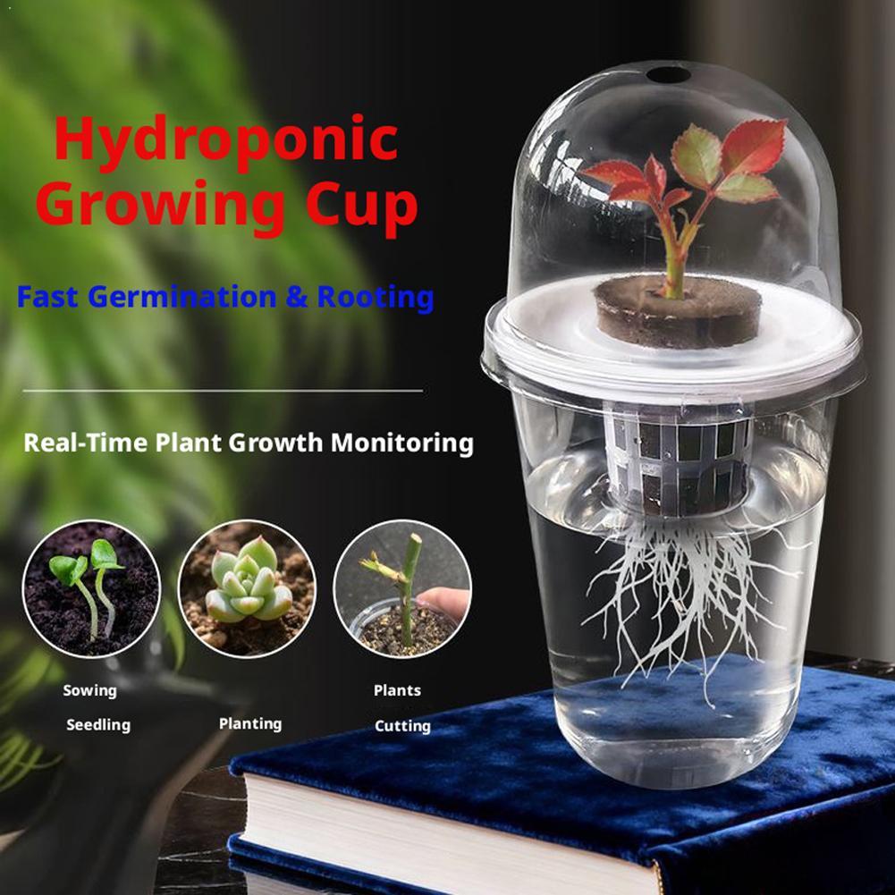Plant Vegetable Seedling Hydro - Hydroponic Tower 评论和价格