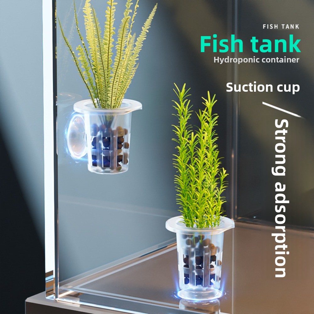 10Pcs Transparent Plant Hydrop - Hydroponic Grow Pod 评论和价格