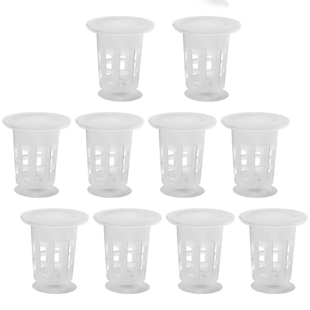 10Pcs Transparent Plant Hydrop - Hydroponic Grow Pod 评论和价格