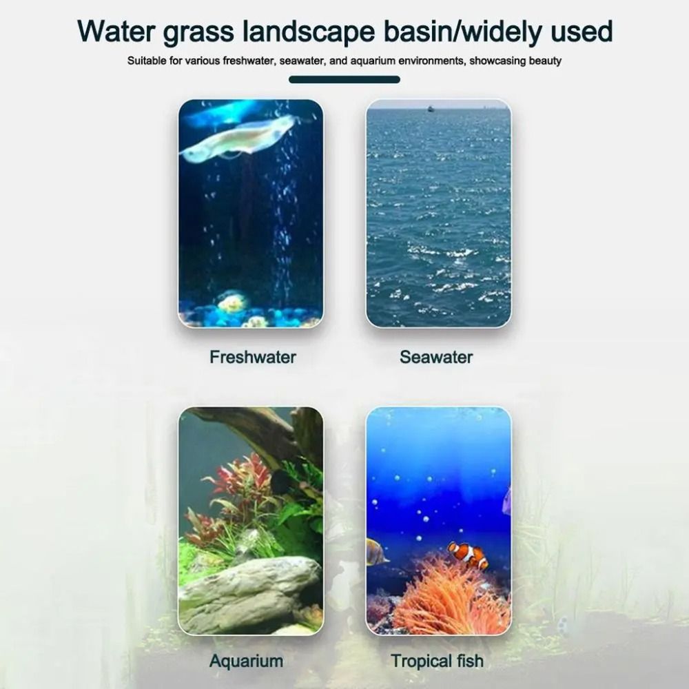 10Pcs Transparent Plant Hydrop - Hydroponic Grow Pod 评论和价格