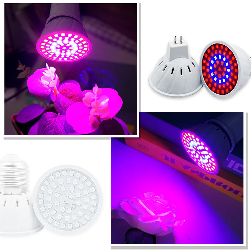 Phyto Lamp Full Spectrum LED G - Plant Grow Light Full Spectrum 评论和价格