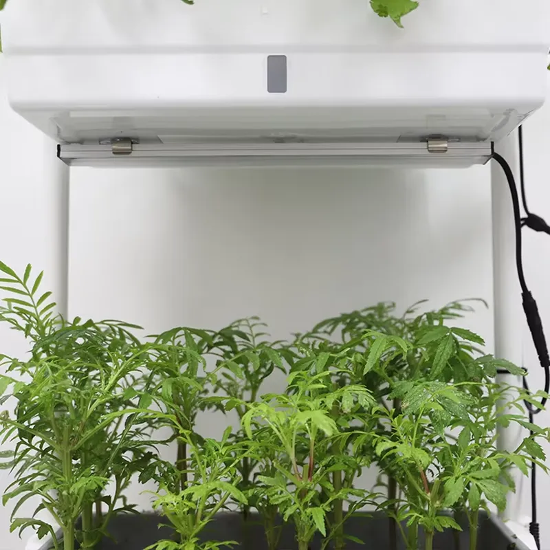 Movable Vertical Grow 3 Level  - Self Watering Planter 评论和价格