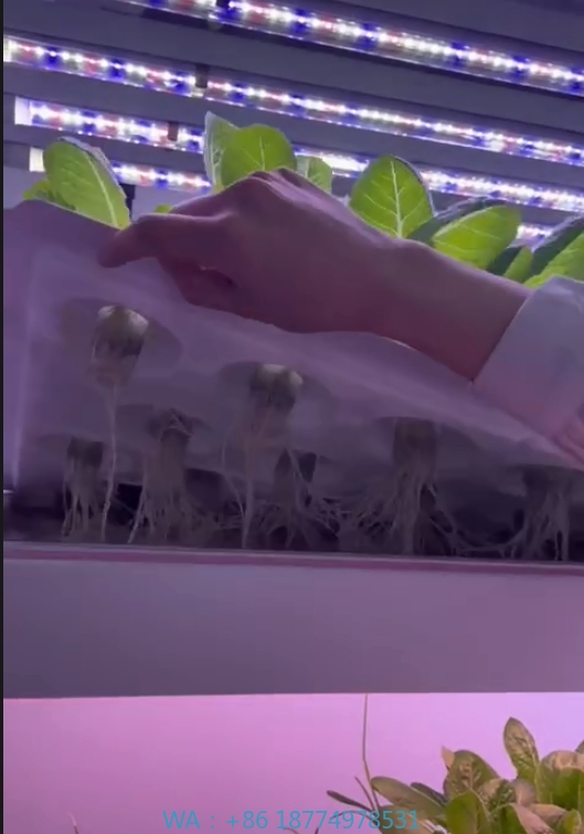 f Greenhouse Agricultural Equi - Hydroponic Tower 评论和价格