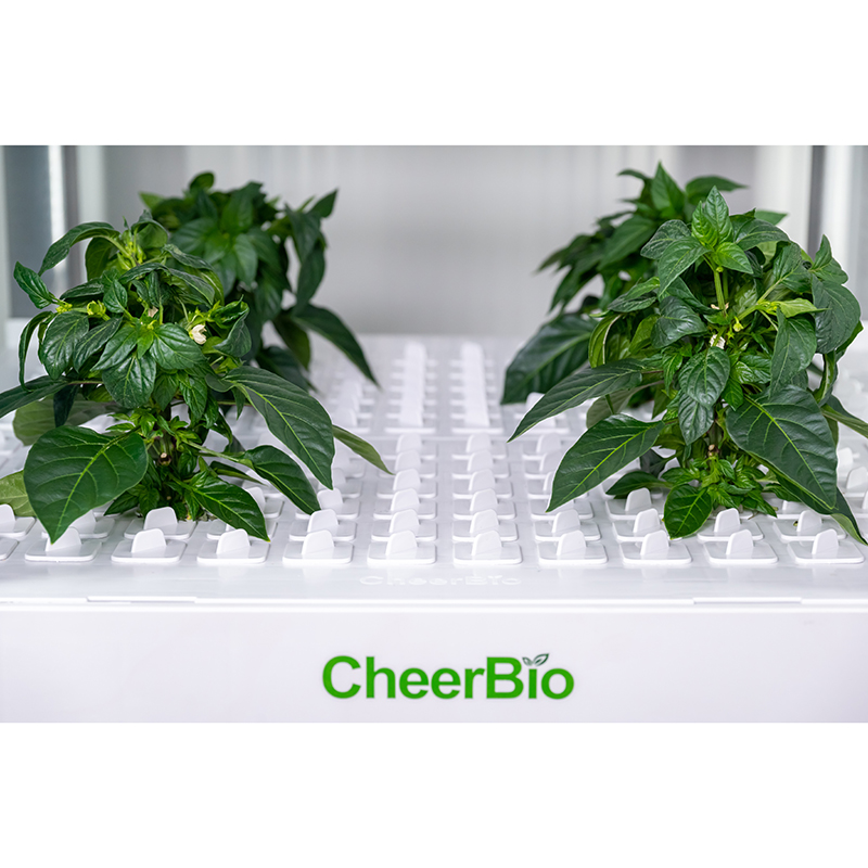 New   Intelligent Planting Sys - Smart Garden System 评论和价格