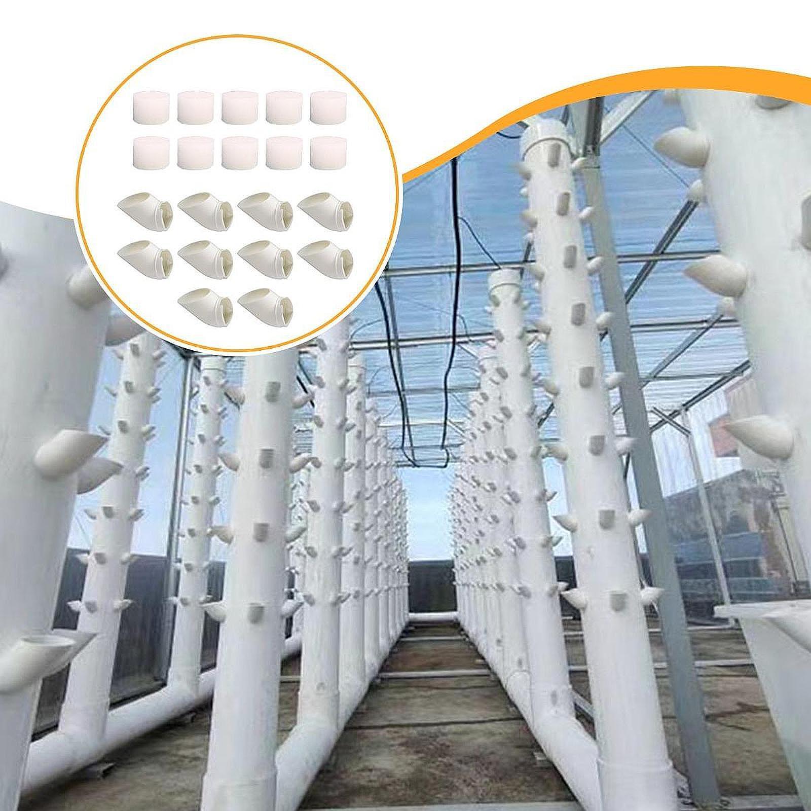 10 Pieces Hydroponic Colonizat - Hydroponic Tower 评论和价格