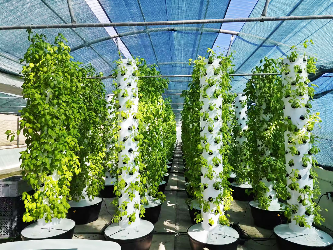 High Quality Easy Install Smal - Hydroponic Tower 评论和价格