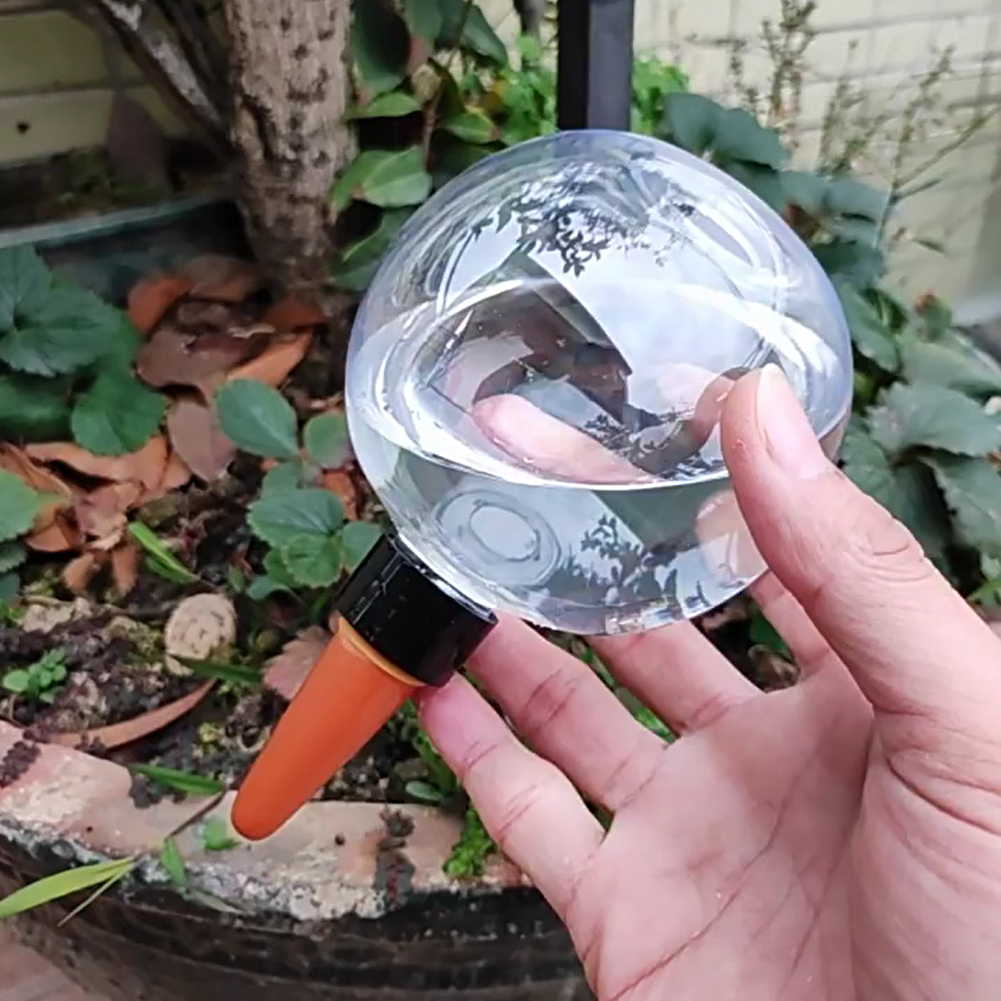 500ML Self Watering Globes Dri - Self Watering Planter 评论和价格
