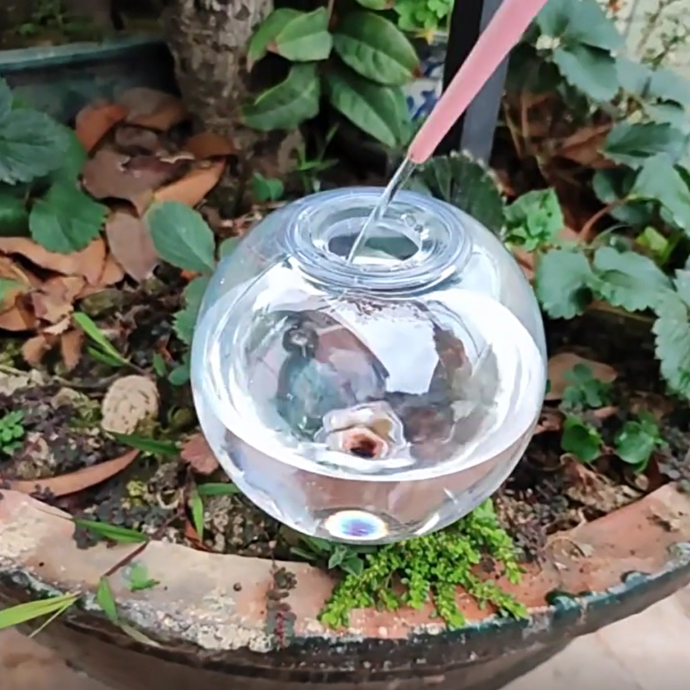 500ML Self Watering Globes Dri - Self Watering Planter 评论和价格
