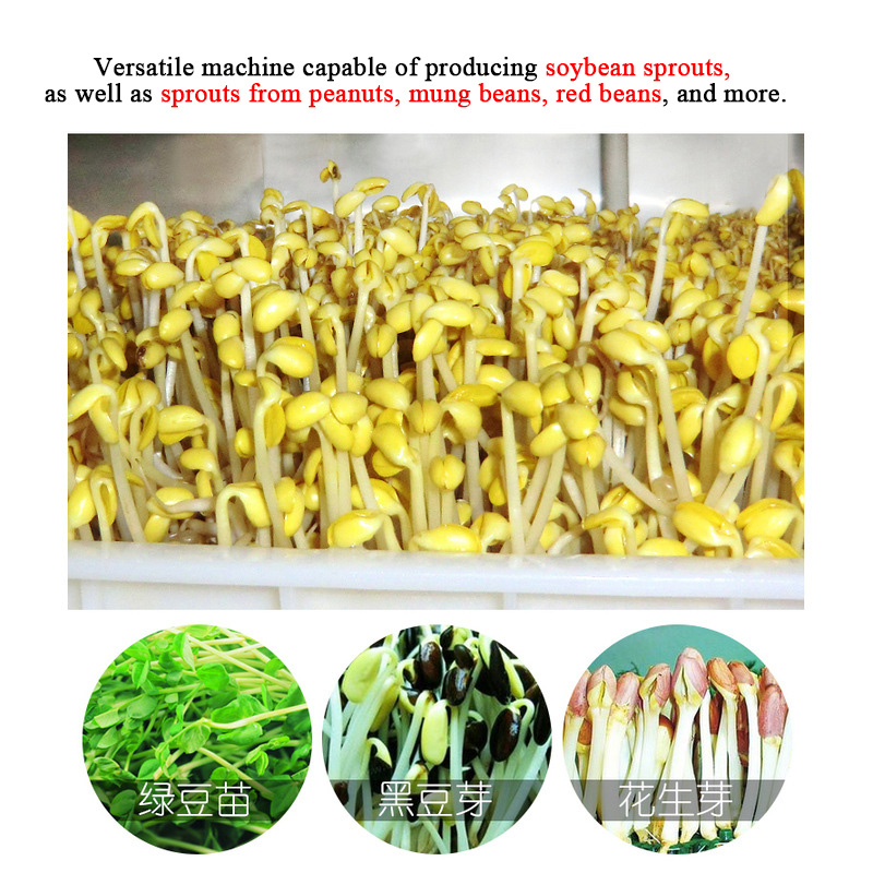 Intelligent High Multi-Sprout  - Automatic Watering 评论和价格