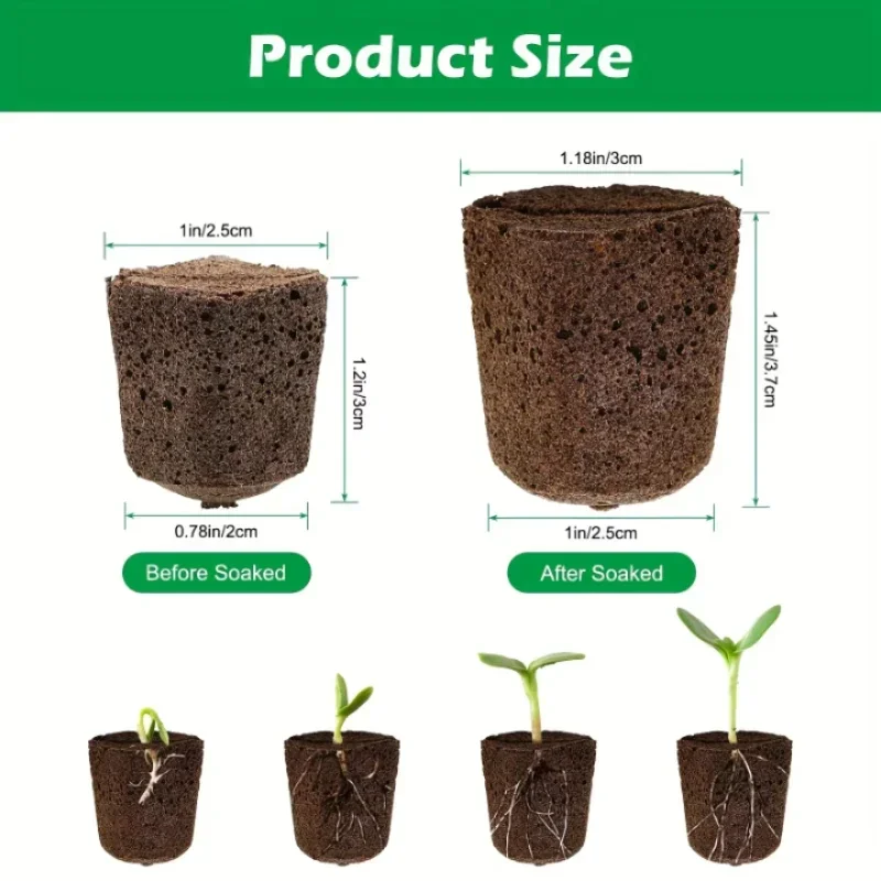 Seedling Starter Sponge Kit fo - Indoor Garden Kit 评论和价格