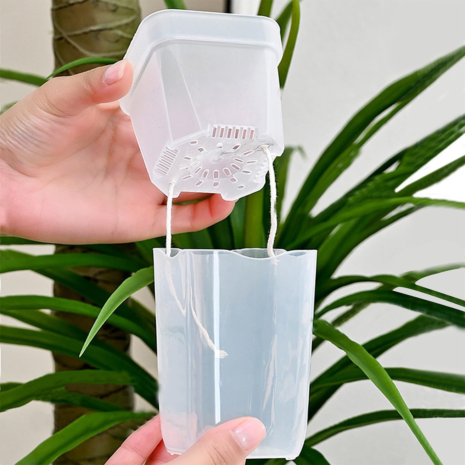 16/32 Pack Self-Watering Plant - Hydroponic Grow Pod 评论和价格
