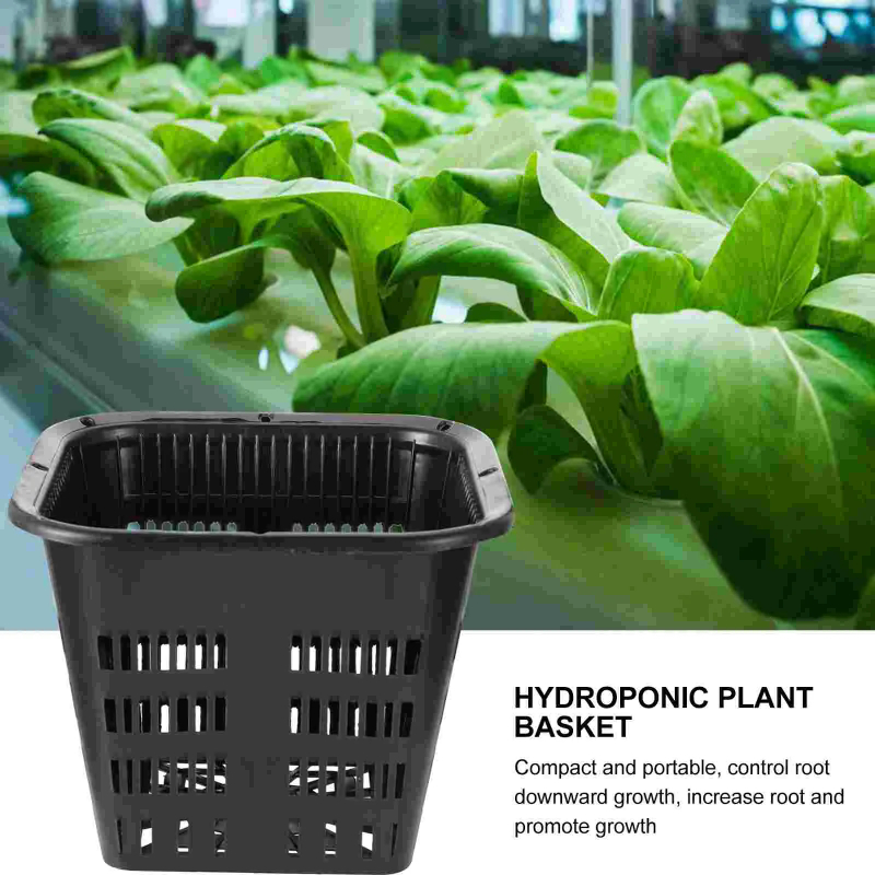 6Pcs Hydroponic Grow Baskets,  - Hydroponic Grow Pod 评论和价格