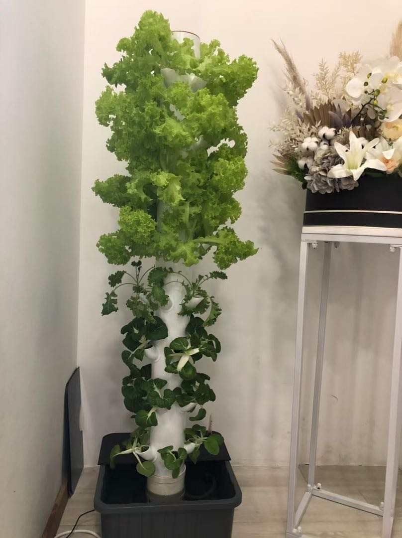 Vertical Hydroponic Grow Tower - Hydroponic Tower 评论和价格