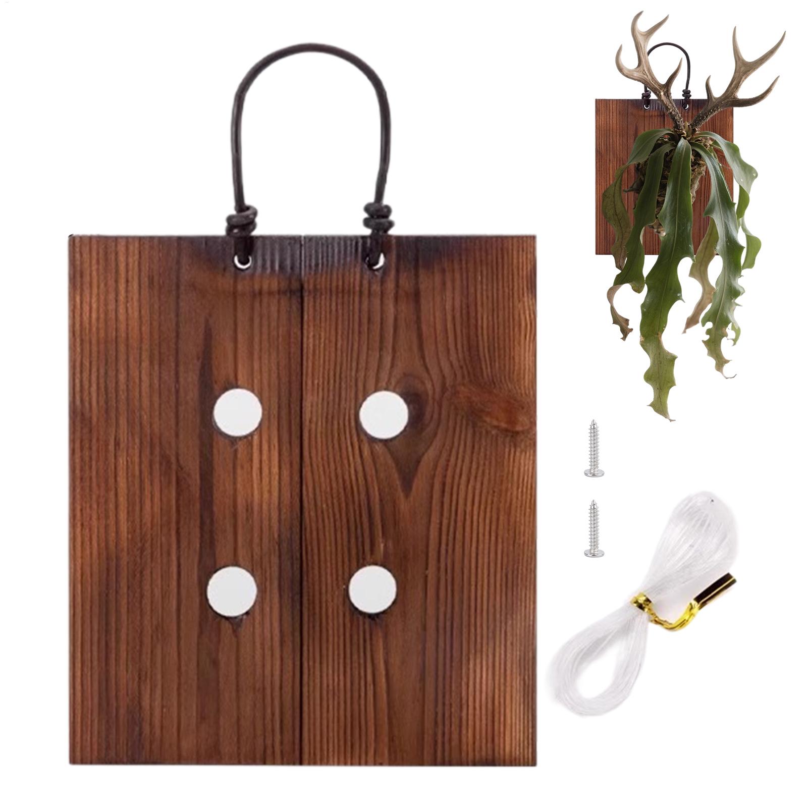 Staghorn Fern Wall Mount Board - Indoor Garden Kit 评论和价格