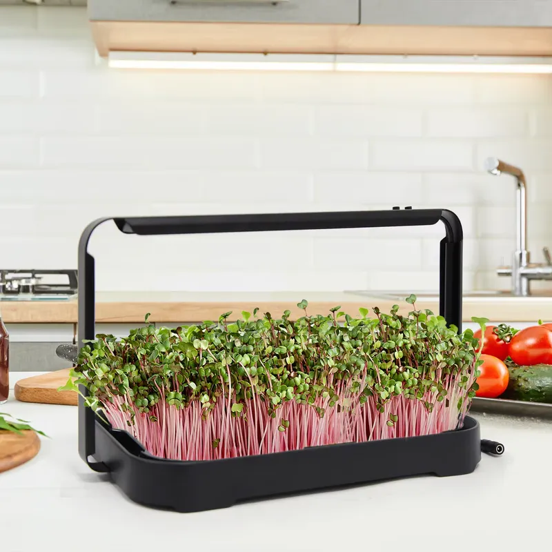 Hydroponic Tray Indoor Microgr - Smart Garden System 评论和价格