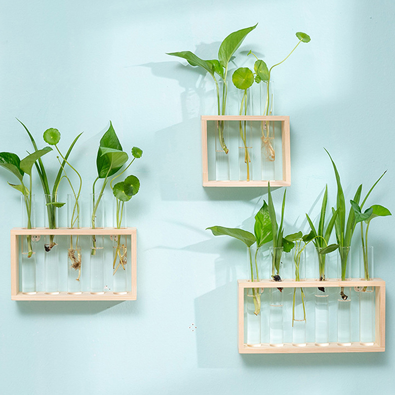 Hydroponic Plants Container wi - Hydroponic Grow Pod 评论和价格